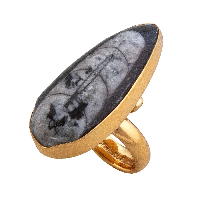 Women’s rings with agate slices for earthiness -Alchemia Orthoceras Adjustable Ring